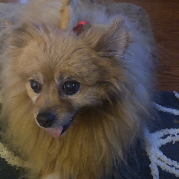 Happy New Year 🎆 2024 - Picture 11 of 14